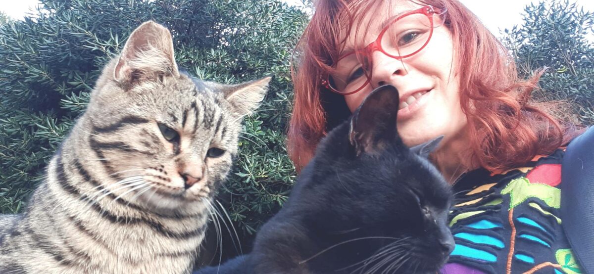 Über Katzen-Liebe