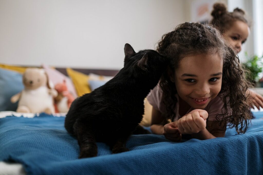 Katze stupst Mädchen mit der Nase an