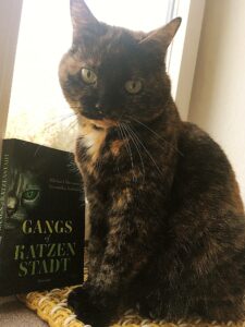 Katze Bandini mit dem Roman "Gangs of Katzenstadt"