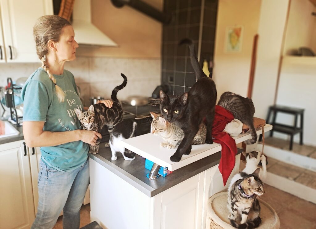Martina mit den Katzen von Doma Istria