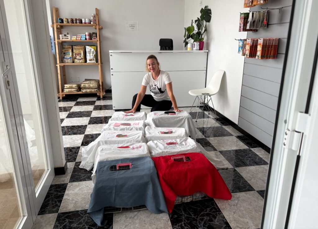 Straßenlkatzen beim Tierarzt auf Mallorca